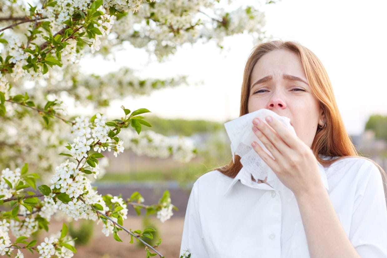 allergy season