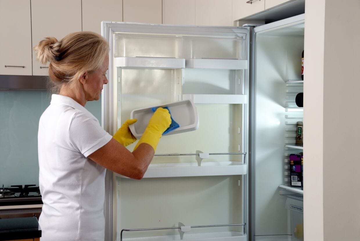 professional house cleaner professional house cleaner