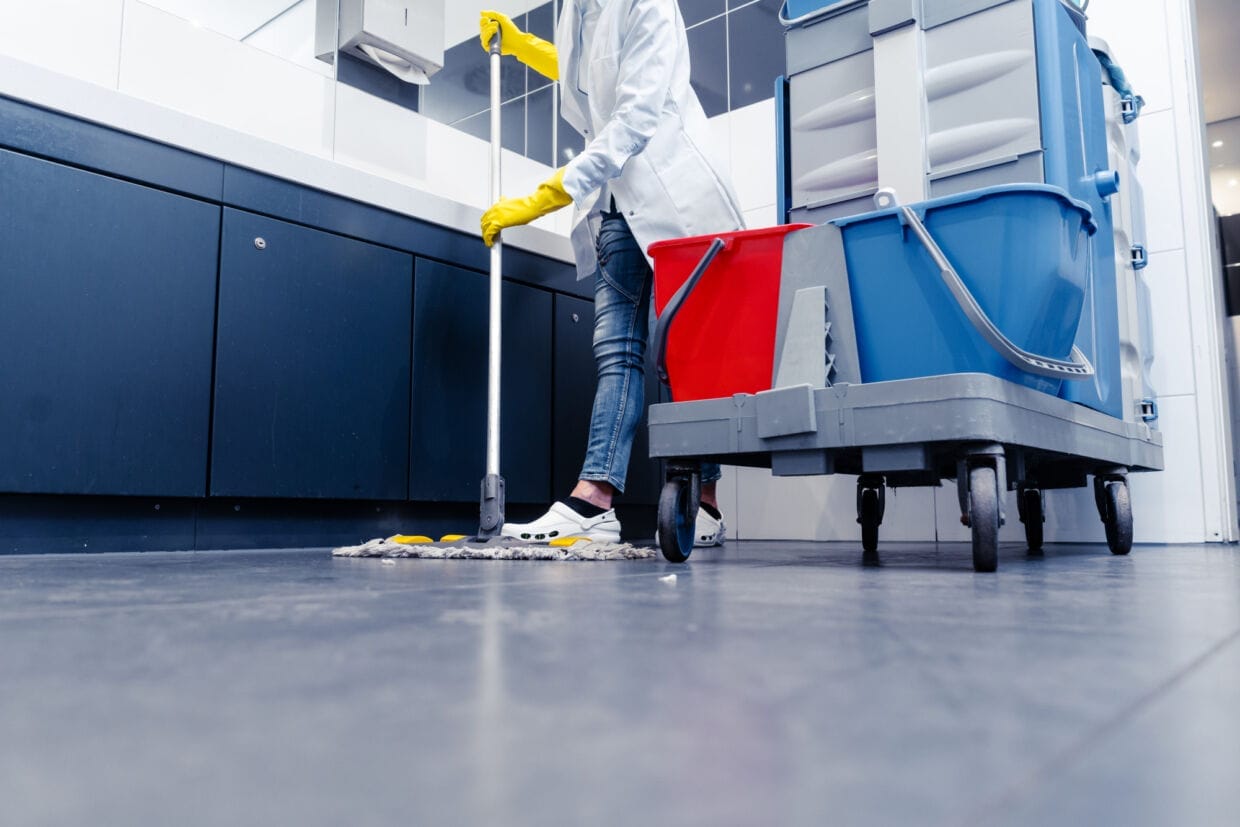 deluxe cleaning deluxe cleaning